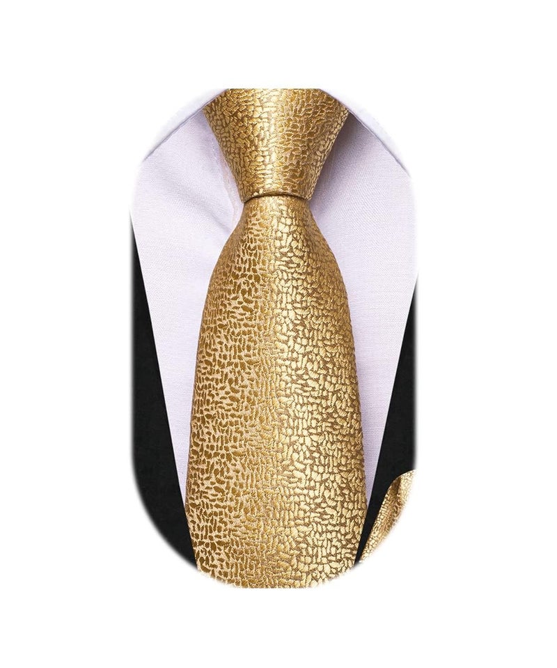 Dubulle Boys Gold Tie Self Tie Silk Kids Necktie and Pocket Square Set for Age 8-11 Graduation School Uniform - Image 1